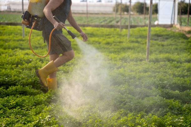 Best Pest Prevention Services  in Woodland Beach, MI