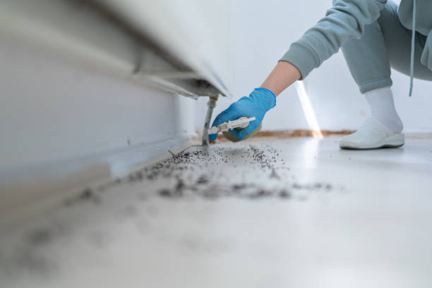 Best Bird Control  in Woodland Beach, MI