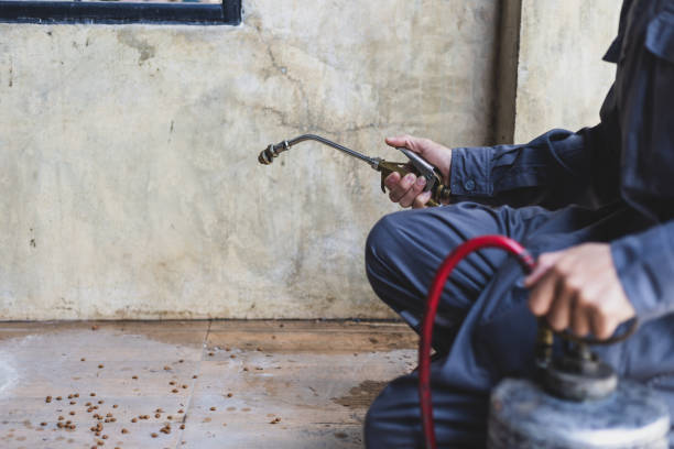 Best Pest Control Treatment  in Woodland Beach, MI